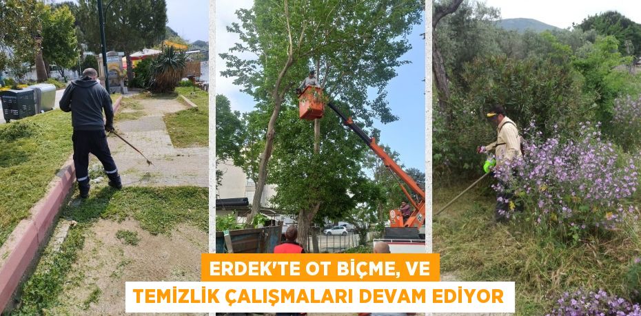 ERDEK’TE OT BİÇME, VE TEMİZLİK ÇALIŞMALARI DEVAM EDİYOR