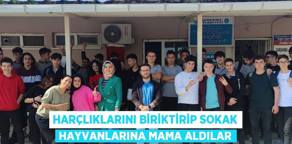 HARÇLIKLARINI BİRİKTİRİP SOKAK HAYVANLARINA MAMA ALDILAR