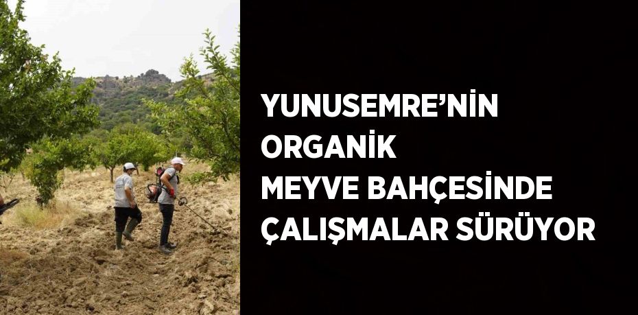 YUNUSEMRE’NİN ORGANİK MEYVE BAHÇESİNDE ÇALIŞMALAR SÜRÜYOR