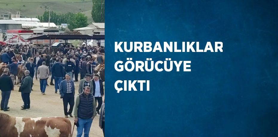 KURBANLIKLAR GÖRÜCÜYE ÇIKTI