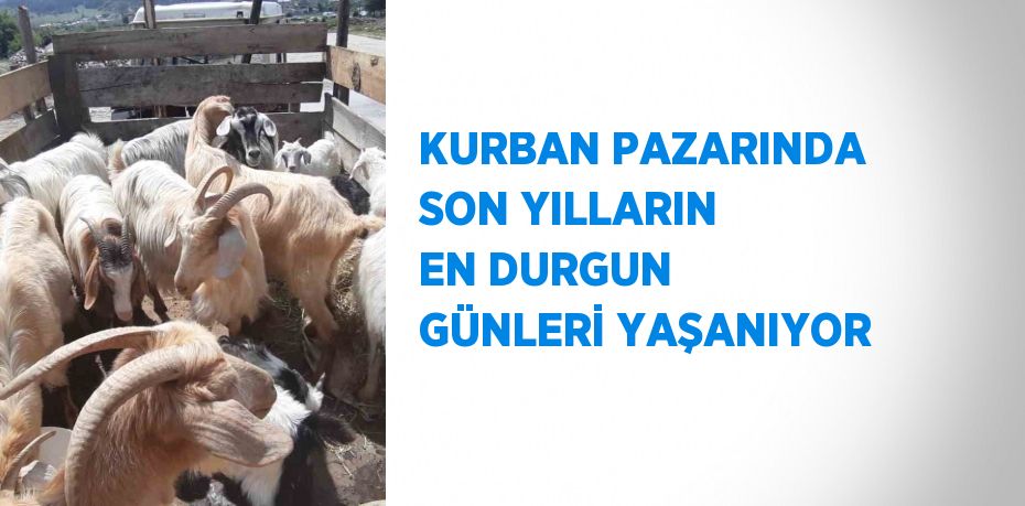 KURBAN PAZARINDA SON YILLARIN EN DURGUN GÜNLERİ YAŞANIYOR