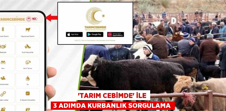 'TARIM CEBİMDE' İLE 3 ADIMDA KURBANLIK SORGULAMA