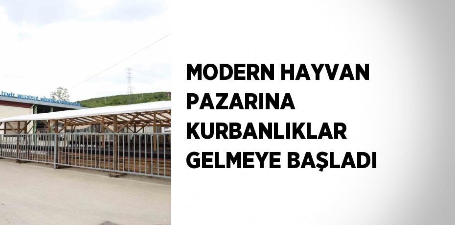 MODERN HAYVAN PAZARINA KURBANLIKLAR GELMEYE BAŞLADI