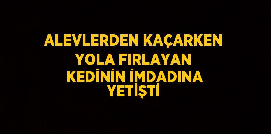 ALEVLERDEN KAÇARKEN YOLA FIRLAYAN KEDİNİN İMDADINA YETİŞTİ