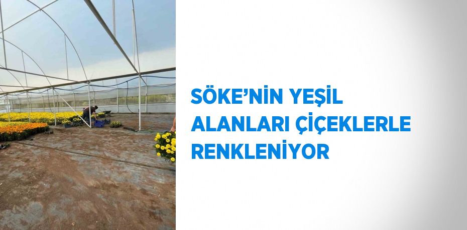 SÖKE’NİN YEŞİL ALANLARI ÇİÇEKLERLE RENKLENİYOR