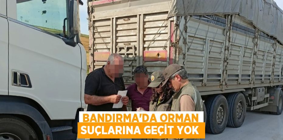 BANDIRMA'DA ORMAN SUÇLARINA GEÇİT YOK