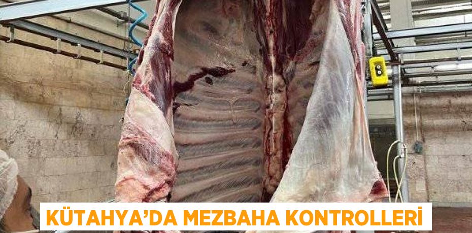 KÜTAHYA’DA MEZBAHA KONTROLLERİ