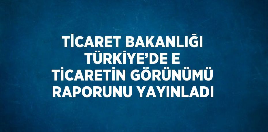 TİCARET BAKANLIĞI TÜRKİYE’DE E TİCARETİN GÖRÜNÜMÜ RAPORUNU YAYINLADI