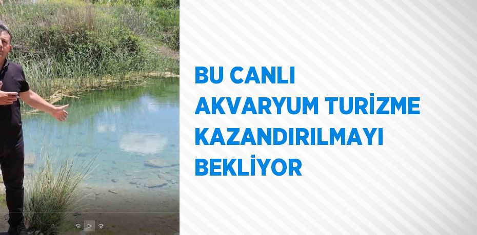 BU CANLI AKVARYUM TURİZME KAZANDIRILMAYI BEKLİYOR