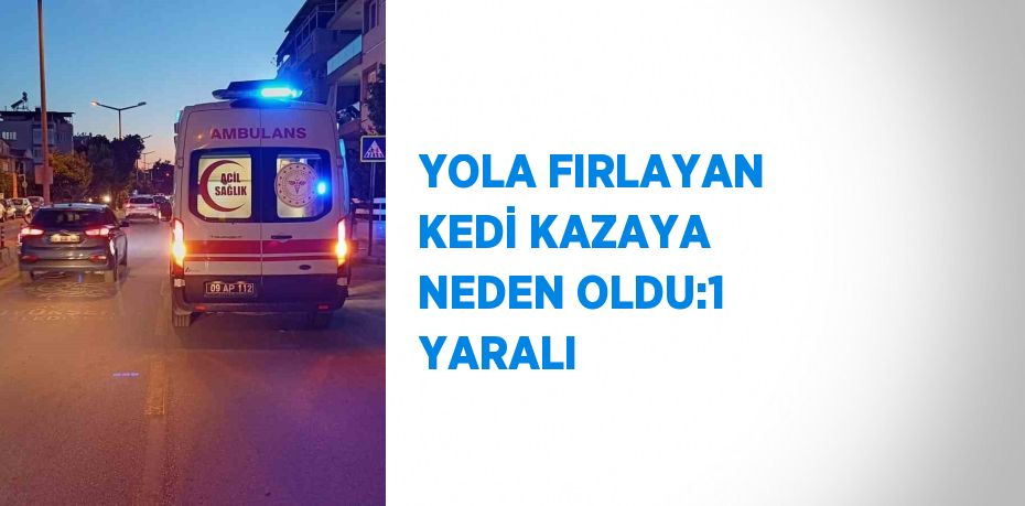 YOLA FIRLAYAN KEDİ KAZAYA NEDEN OLDU:1 YARALI