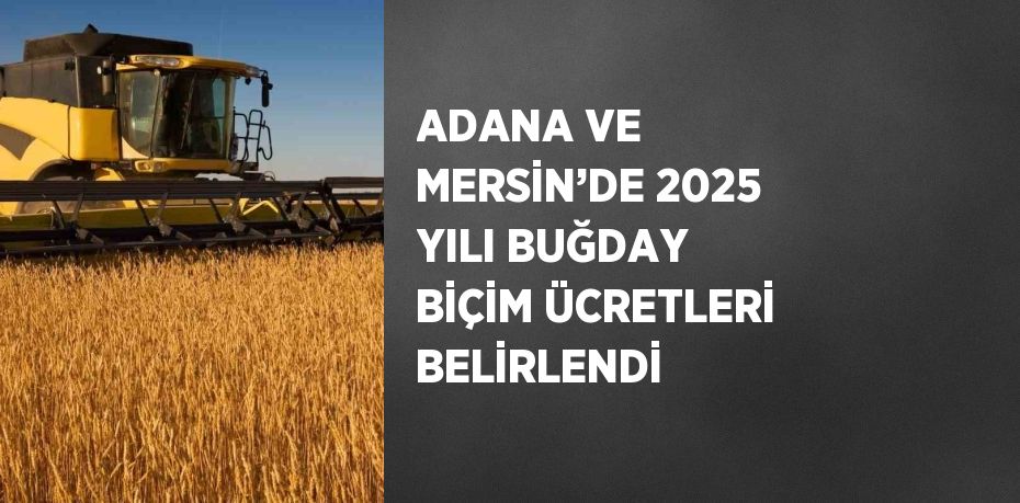 ADANA VE MERSİN’DE 2025 YILI BUĞDAY BİÇİM ÜCRETLERİ BELİRLENDİ