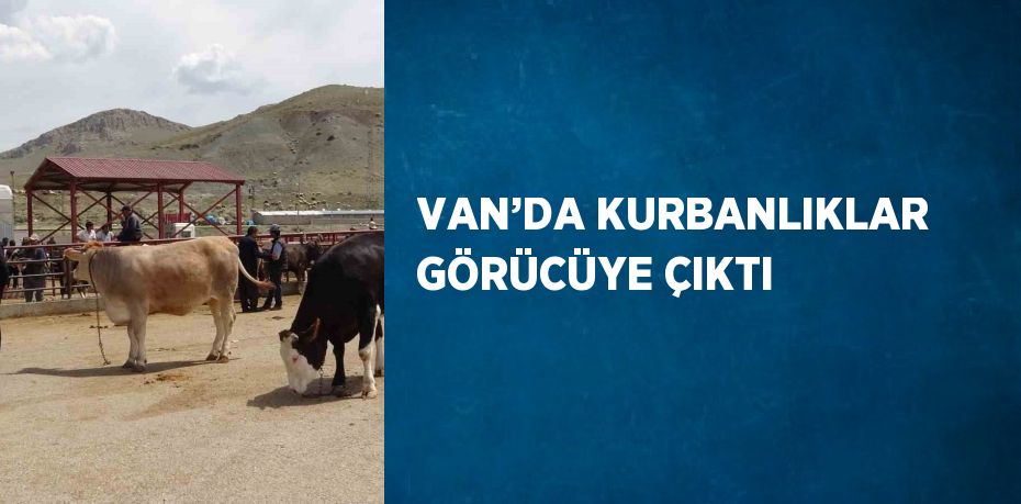 VAN’DA KURBANLIKLAR GÖRÜCÜYE ÇIKTI