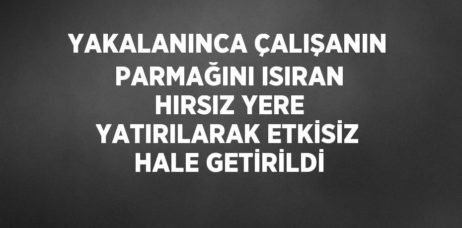 YAKALANINCA ÇALIŞANIN PARMAĞINI ISIRAN HIRSIZ YERE YATIRILARAK ETKİSİZ HALE GETİRİLDİ