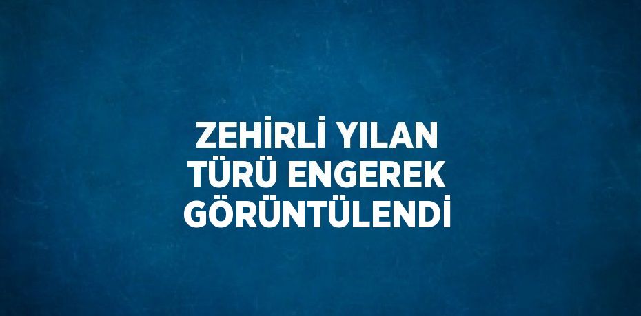 ZEHİRLİ YILAN TÜRÜ ENGEREK GÖRÜNTÜLENDİ