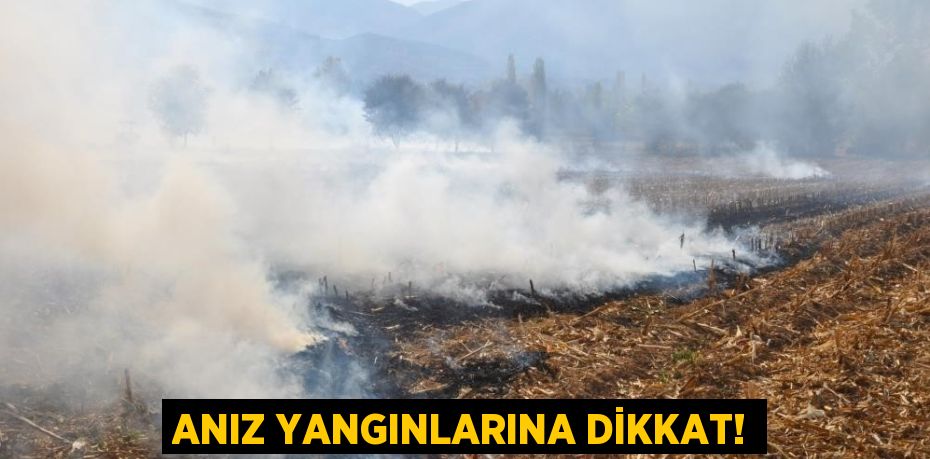 ANIZ YANGINLARINA DİKKAT!