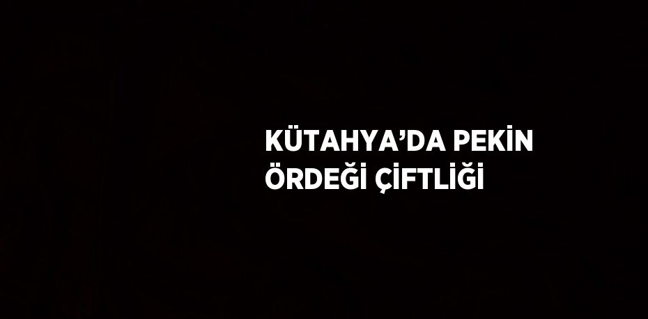 KÜTAHYA’DA PEKİN ÖRDEĞİ ÇİFTLİĞİ