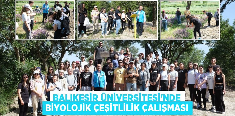 BALIKESİR ÜNİVERSİTESİ’NDE BİYOLOJİK ÇEŞİTLİLİK ÇALIŞMASI