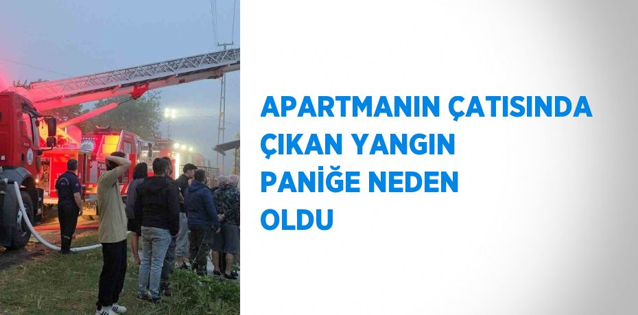 APARTMANIN ÇATISINDA ÇIKAN YANGIN PANİĞE NEDEN OLDU