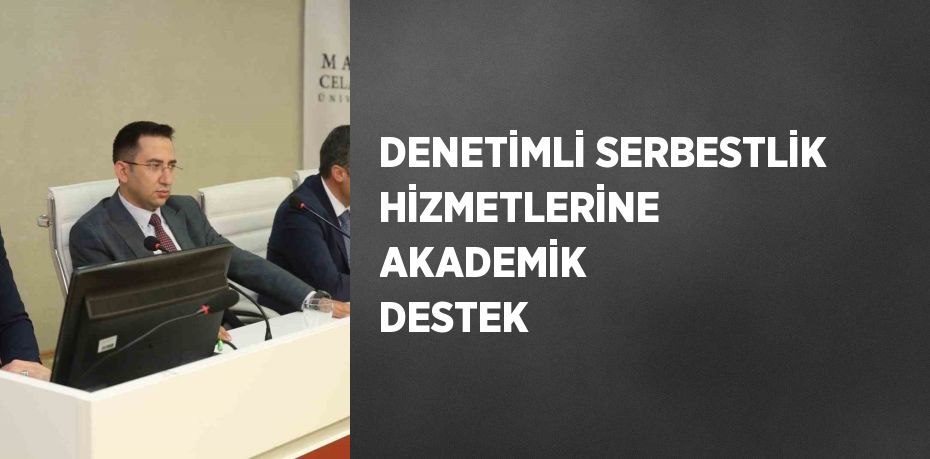DENETİMLİ SERBESTLİK HİZMETLERİNE AKADEMİK DESTEK