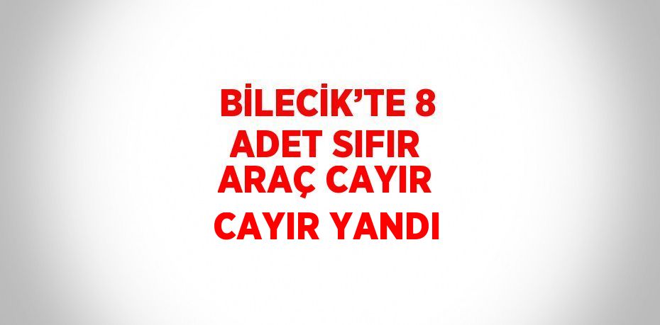 BİLECİK’TE 8 ADET SIFIR ARAÇ CAYIR CAYIR YANDI
