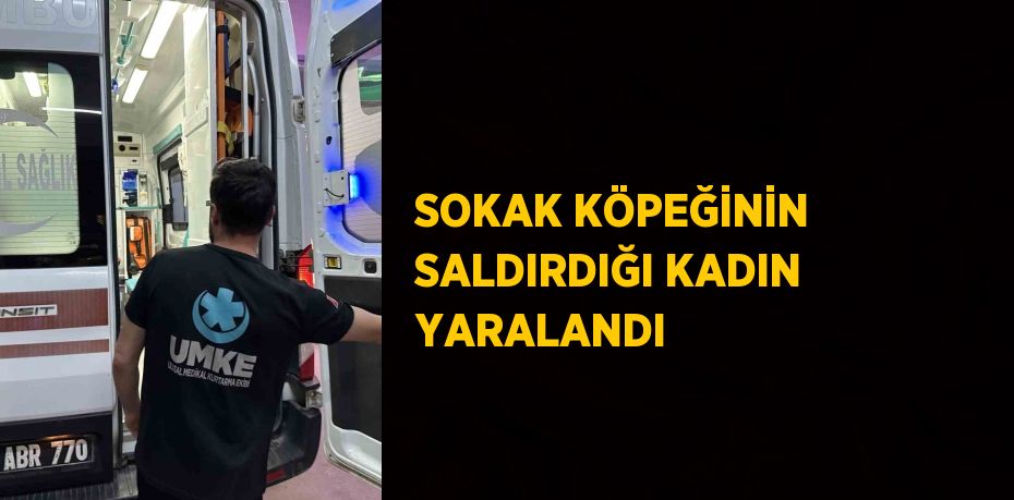 SOKAK KÖPEĞİNİN SALDIRDIĞI KADIN YARALANDI
