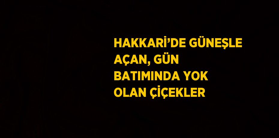 HAKKARİ’DE GÜNEŞLE AÇAN, GÜN BATIMINDA YOK OLAN ÇİÇEKLER