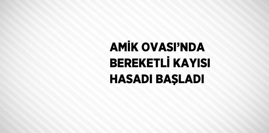AMİK OVASI’NDA BEREKETLİ KAYISI HASADI BAŞLADI