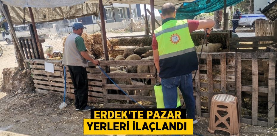 ERDEK’TE PAZAR YERLERİ İLAÇLANDI