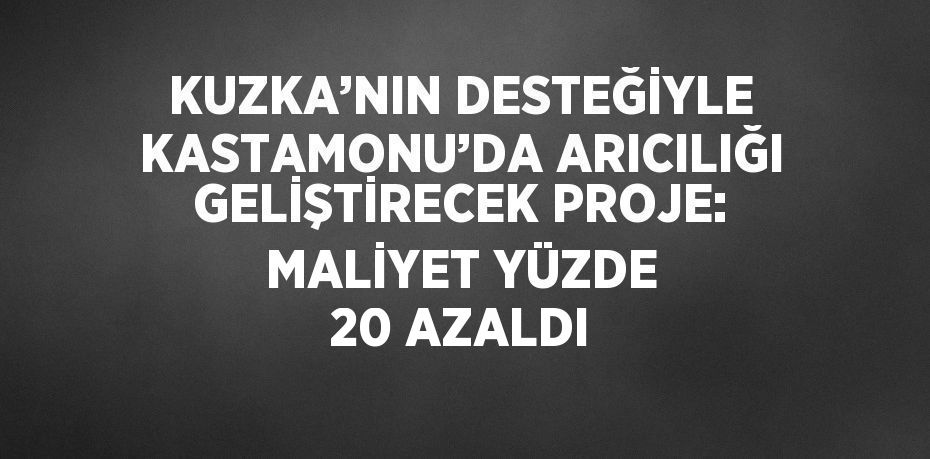 KUZKA’NIN DESTEĞİYLE KASTAMONU’DA ARICILIĞI GELİŞTİRECEK PROJE: MALİYET YÜZDE 20 AZALDI