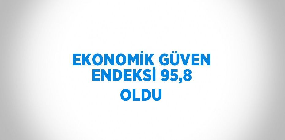 EKONOMİK GÜVEN ENDEKSİ 95,8 OLDU