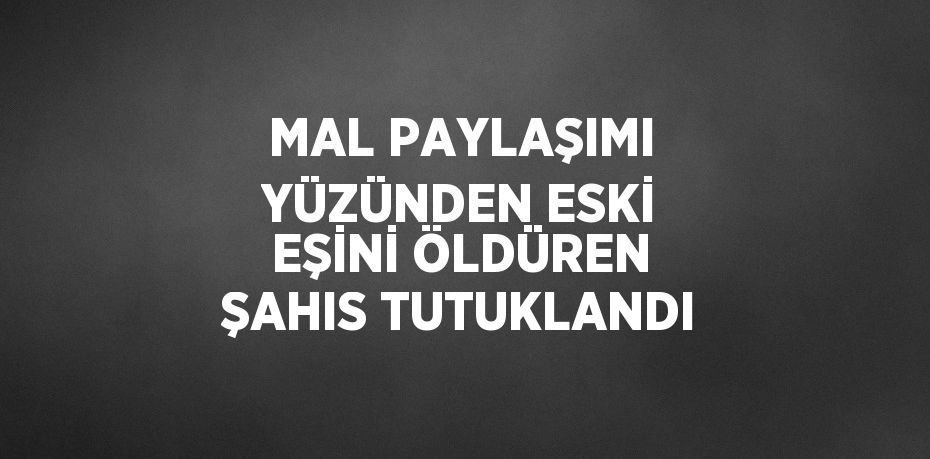 MAL PAYLAŞIMI YÜZÜNDEN ESKİ EŞİNİ ÖLDÜREN ŞAHIS TUTUKLANDI