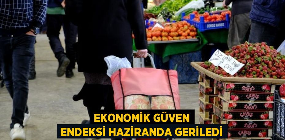 EKONOMİK GÜVEN ENDEKSİ HAZİRANDA GERİLEDİ