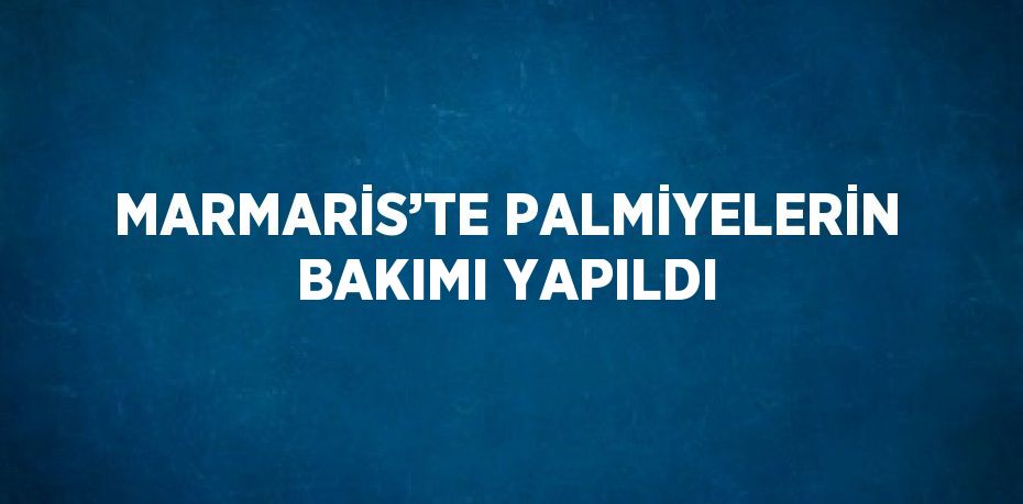 MARMARİS’TE PALMİYELERİN BAKIMI YAPILDI