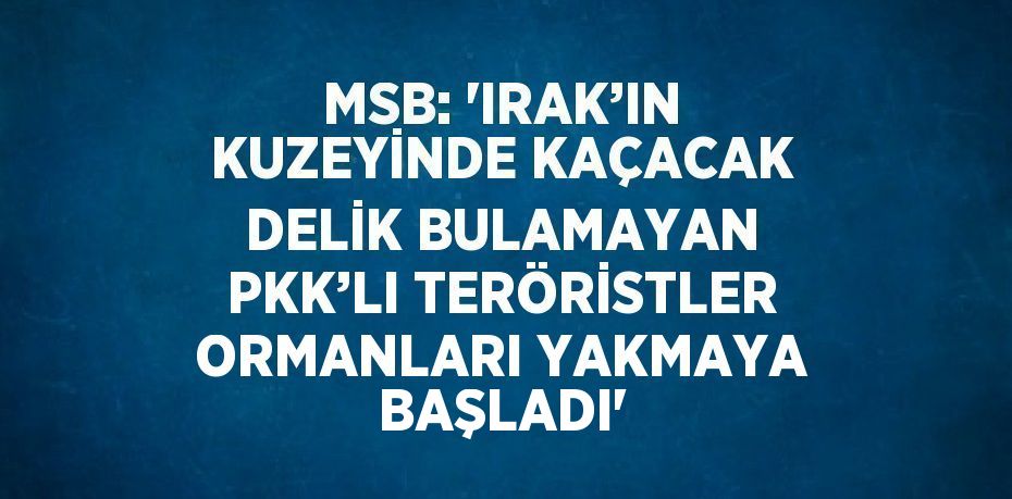 MSB: 'IRAK’IN KUZEYİNDE KAÇACAK DELİK BULAMAYAN PKK’LI TERÖRİSTLER ORMANLARI YAKMAYA BAŞLADI'