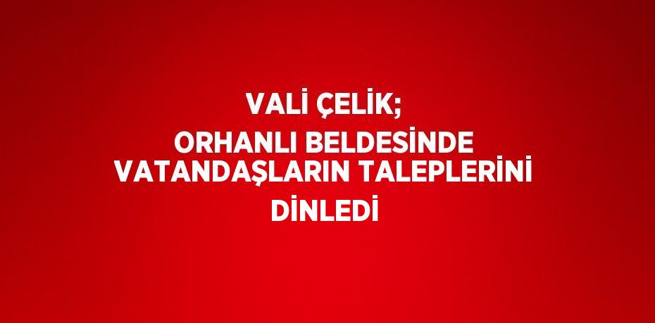 VALİ ÇELİK; ORHANLI BELDESİNDE VATANDAŞLARIN TALEPLERİNİ DİNLEDİ