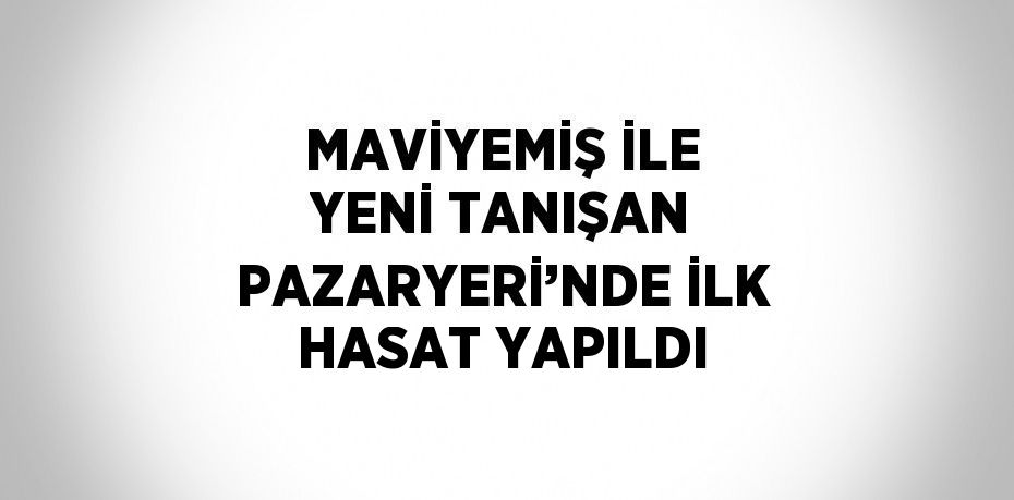 MAVİYEMİŞ İLE YENİ TANIŞAN PAZARYERİ’NDE İLK HASAT YAPILDI
