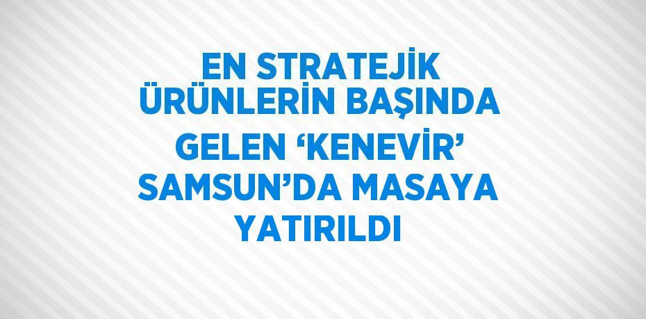 EN STRATEJİK ÜRÜNLERİN BAŞINDA GELEN ‘KENEVİR’ SAMSUN’DA MASAYA YATIRILDI