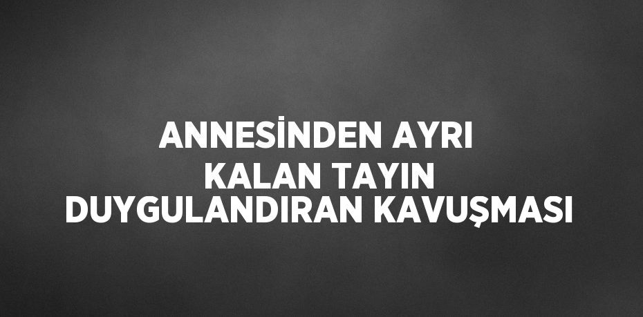 ANNESİNDEN AYRI KALAN TAYIN DUYGULANDIRAN KAVUŞMASI