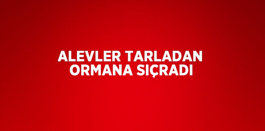 ALEVLER TARLADAN ORMANA SIÇRADI