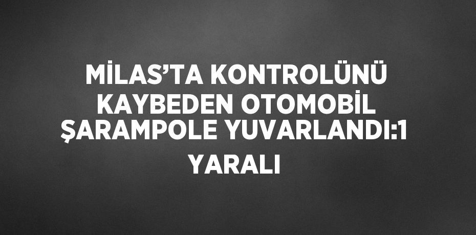 MİLAS’TA KONTROLÜNÜ KAYBEDEN OTOMOBİL ŞARAMPOLE YUVARLANDI:1 YARALI