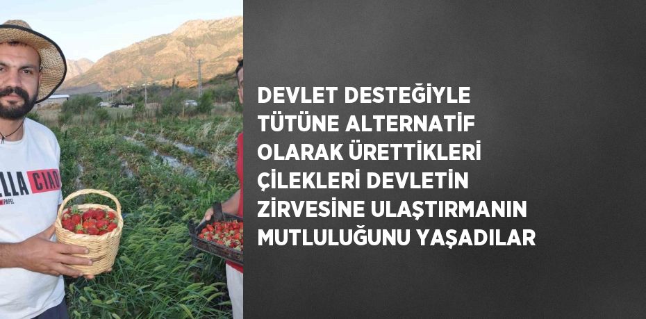 DEVLET DESTEĞİYLE TÜTÜNE ALTERNATİF OLARAK ÜRETTİKLERİ ÇİLEKLERİ DEVLETİN ZİRVESİNE ULAŞTIRMANIN MUTLULUĞUNU YAŞADILAR