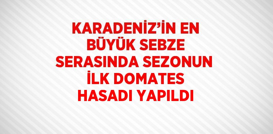 KARADENİZ’İN EN BÜYÜK SEBZE SERASINDA SEZONUN İLK DOMATES HASADI YAPILDI