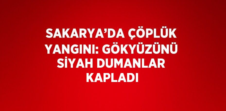 SAKARYA’DA ÇÖPLÜK YANGINI: GÖKYÜZÜNÜ SİYAH DUMANLAR KAPLADI