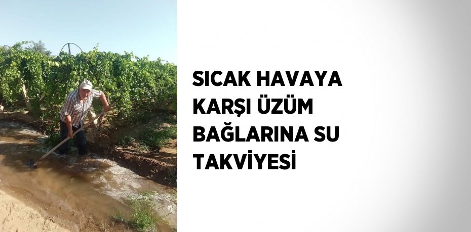 SICAK HAVAYA KARŞI ÜZÜM BAĞLARINA SU TAKVİYESİ