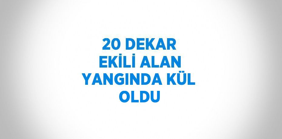 20 DEKAR EKİLİ ALAN YANGINDA KÜL OLDU