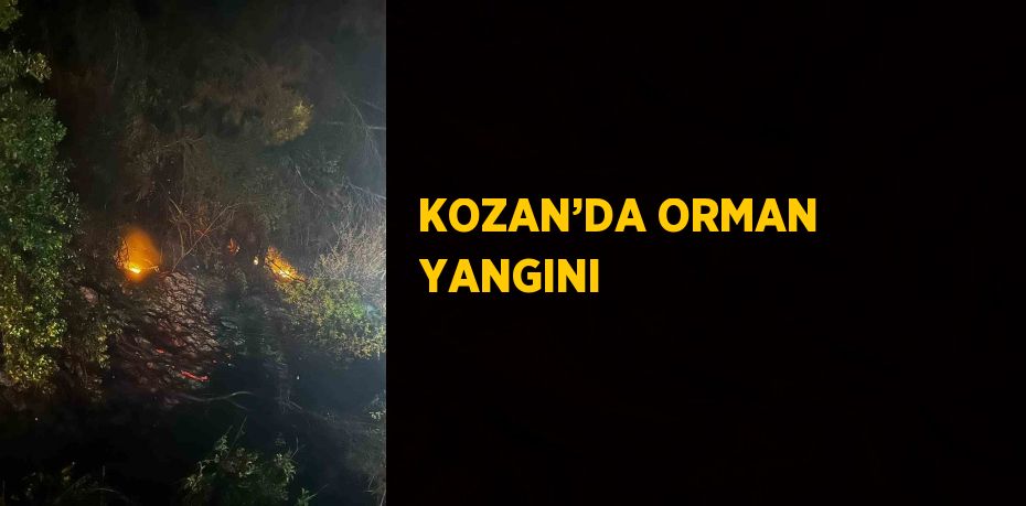 KOZAN’DA ORMAN YANGINI