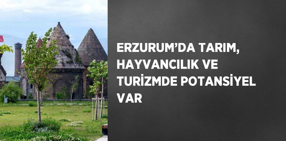 ERZURUM’DA TARIM, HAYVANCILIK VE TURİZMDE POTANSİYEL VAR