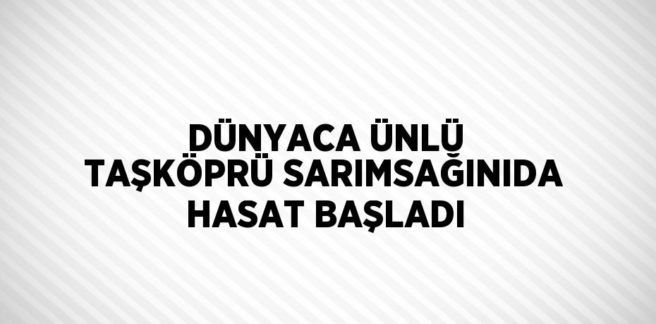 DÜNYACA ÜNLÜ TAŞKÖPRÜ SARIMSAĞINIDA HASAT BAŞLADI