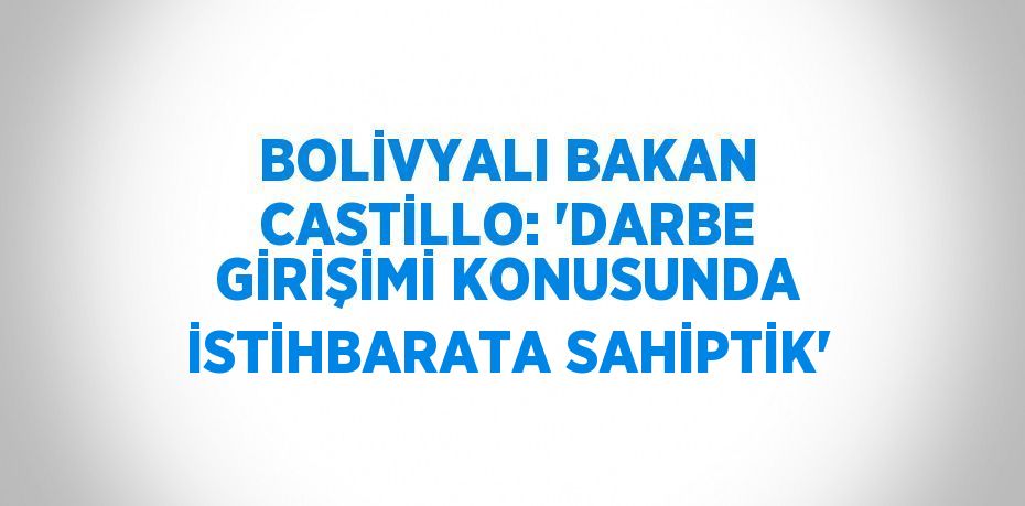 BOLİVYALI BAKAN CASTİLLO: 'DARBE GİRİŞİMİ KONUSUNDA İSTİHBARATA SAHİPTİK'