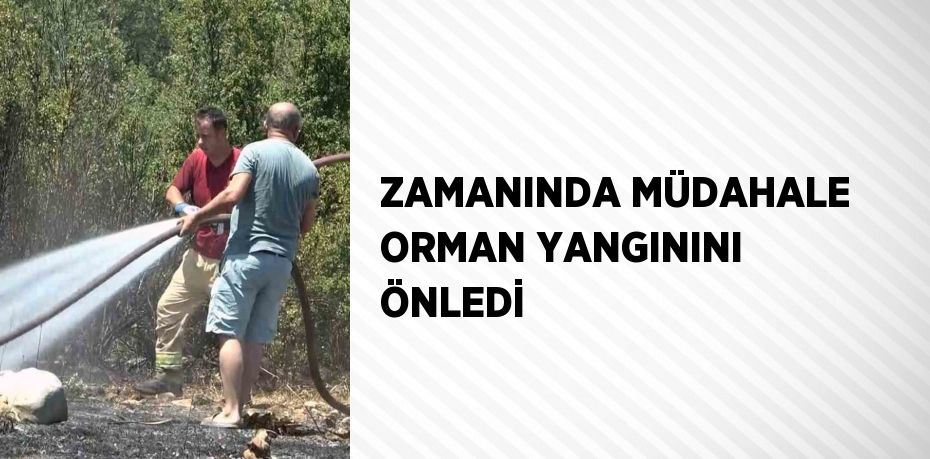 ZAMANINDA MÜDAHALE ORMAN YANGININI ÖNLEDİ